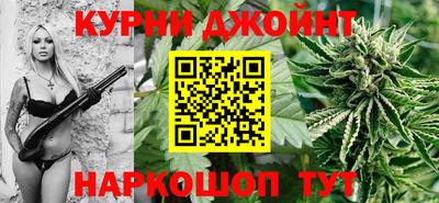 гидра Краснодар