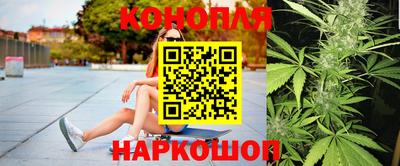 гидра Краснодар