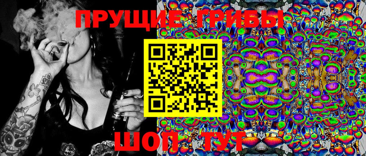 Псилоцибиновые грибы GOLDEN TEACHER Кимры