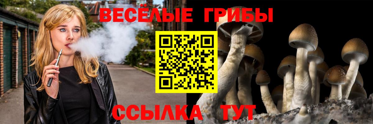 Псилоцибиновые грибы мицелий  где найти наркотики  Кимры  Галлюциногенные грибы Magic Shrooms  Вход с VPN 